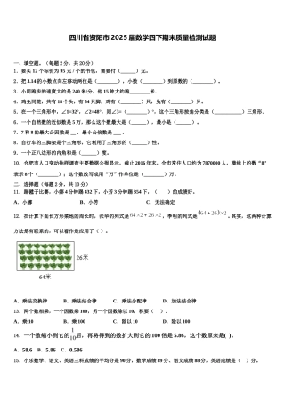 四川省资阳市2025届数学四下期末质量检测试题含解析