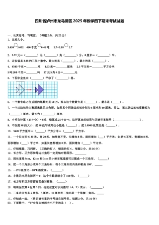 四川省泸州市龙马潭区2025年数学四下期末考试试题含解析