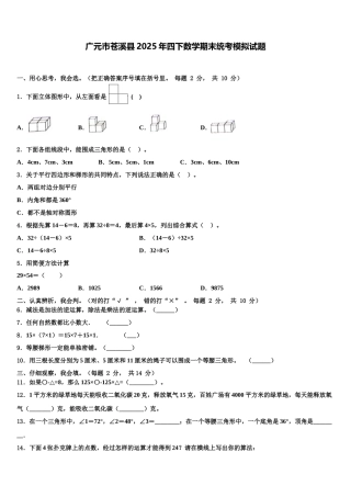 广元市苍溪县2025年四下数学期末统考模拟试题含解析