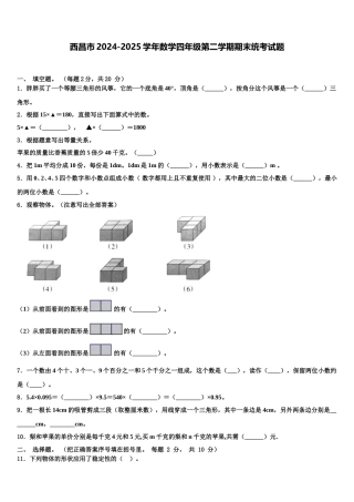 西昌市2024-2025学年数学四年级第二学期期末统考试题含解析