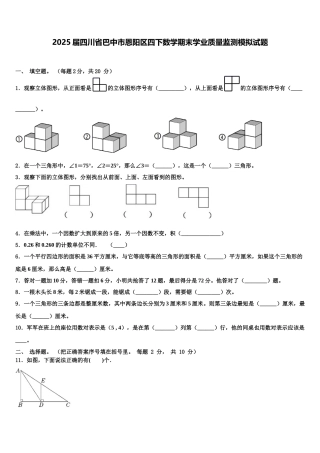 2025届四川省巴中市恩阳区四下数学期末学业质量监测模拟试题含解析