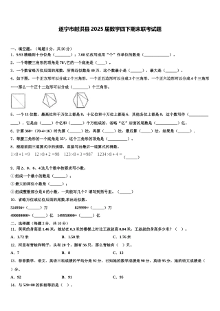 遂宁市射洪县2025届数学四下期末联考试题含解析