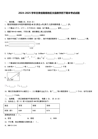 2024-2025学年甘肃省陇南地区文县数学四下期末考试试题含解析