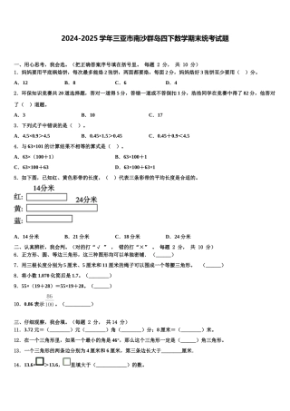 2024-2025学年三亚市南沙群岛四下数学期末统考试题含解析