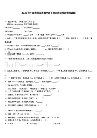 2025年广东省韶关市数学四下期末达标检测模拟试题含解析