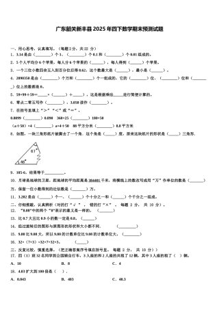 广东韶关新丰县2025年四下数学期末预测试题含解析