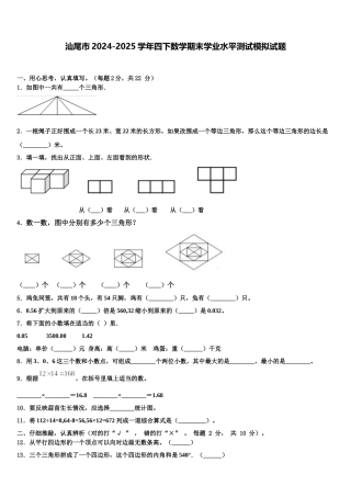 汕尾市2024-2025学年四下数学期末学业水平测试模拟试题含解析