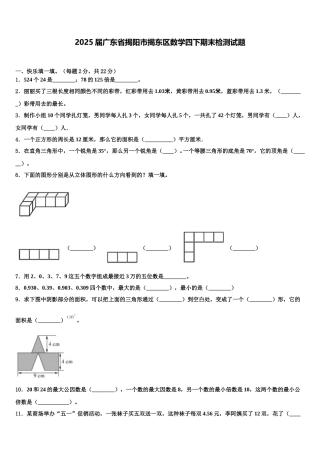 2025届广东省揭阳市揭东区数学四下期末检测试题含解析