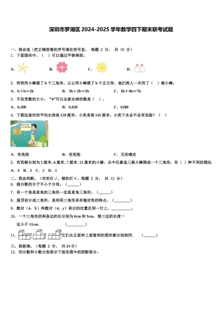 深圳市罗湖区2024-2025学年数学四下期末联考试题含解析
