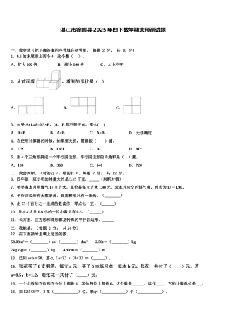 湛江市徐闻县2025年四下数学期末预测试题含解析