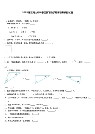 2025届双鸭山市岭东区四下数学期末联考模拟试题含解析