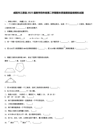 咸阳市三原县2025届数学四年级第二学期期末质量跟踪监视模拟试题含解析