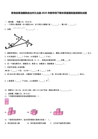 青海省果洛藏族自治州久治县2025年数学四下期末质量跟踪监视模拟试题含解析
