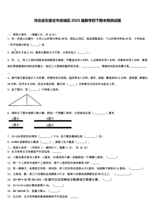河北省石家庄市栾城区2025届数学四下期末预测试题含解析