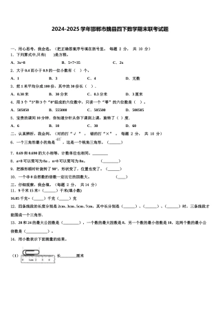 2024-2025学年邯郸市魏县四下数学期末联考试题含解析
