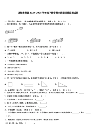 邯郸市邱县2024-2025学年四下数学期末质量跟踪监视试题含解析