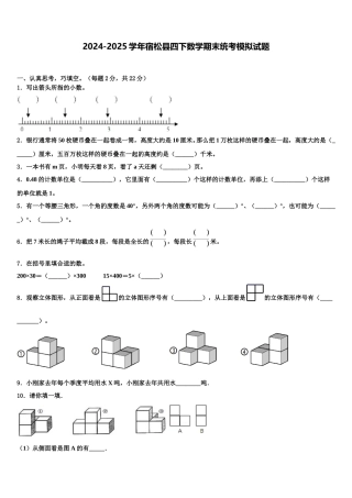 2024-2025学年宿松县四下数学期末统考模拟试题含解析