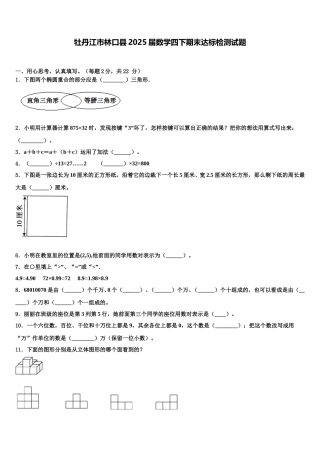 牡丹江市林口县2025届数学四下期末达标检测试题含解析