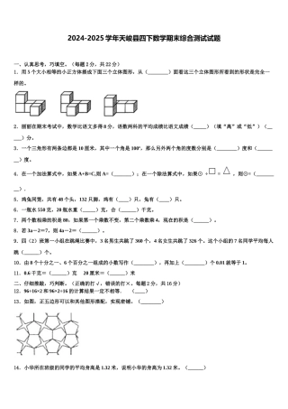 2024-2025学年天峻县四下数学期末综合测试试题含解析