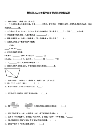 柳城县2025年数学四下期末达标测试试题含解析