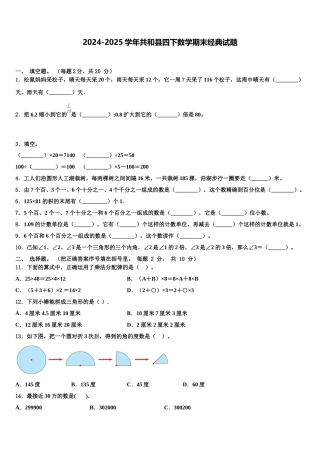 2024-2025学年共和县四下数学期末经典试题含解析