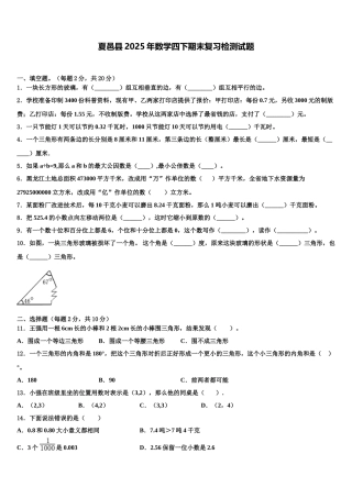夏邑县2025年数学四下期末复习检测试题含解析