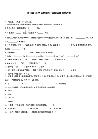 独山县2025年数学四下期末调研模拟试题含解析