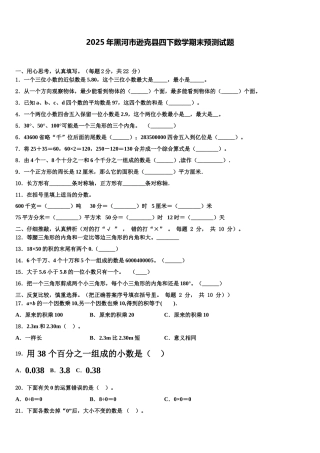 2025年黑河市逊克县四下数学期末预测试题含解析