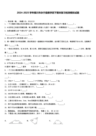 2024-2025学年银川市永宁县数学四下期末复习检测模拟试题含解析
