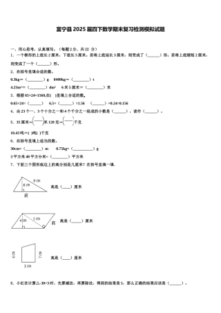 富宁县2025届四下数学期末复习检测模拟试题含解析