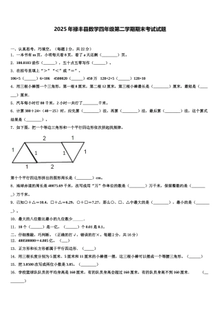 2025年禄丰县数学四年级第二学期期末考试试题含解析
