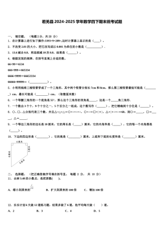若羌县2024-2025学年数学四下期末统考试题含解析