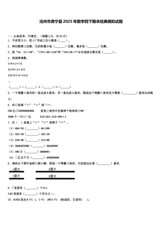 沧州市肃宁县2025年数学四下期末经典模拟试题含解析