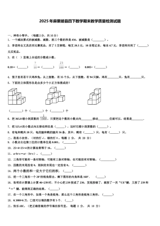 2025年麻栗坡县四下数学期末教学质量检测试题含解析