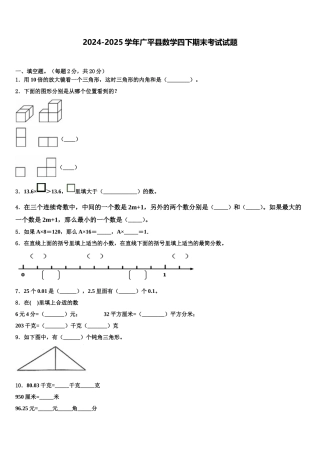 2024-2025学年广平县数学四下期末考试试题含解析