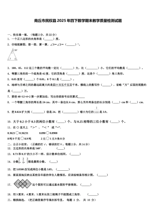 商丘市民权县2025年四下数学期末教学质量检测试题含解析