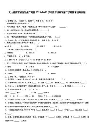 文山壮族苗族自治州广南县2024-2025学年四年级数学第二学期期末统考试题含解析