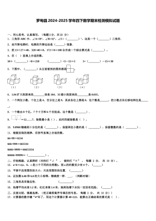 罗甸县2024-2025学年四下数学期末检测模拟试题含解析