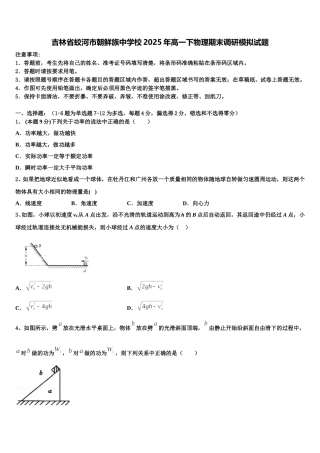 吉林省蛟河市朝鲜族中学校2025年高一下物理期末调研模拟试题含解析