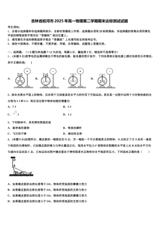 吉林省蛟河市2025年高一物理第二学期期末达标测试试题含解析