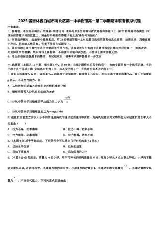 2025届吉林省白城市洮北区第一中学物理高一第二学期期末联考模拟试题含解析