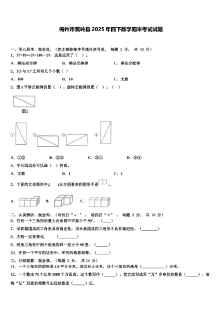 梅州市蕉岭县2025年四下数学期末考试试题含解析