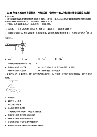 2025年江苏省泰州市姜堰区“八校联盟”物理高一第二学期期末质量跟踪监视试题含解析