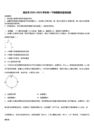 宿迁市2024-2025学年高一下物理期末监测试题含解析