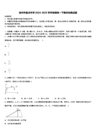 徐州市重点中学2024-2025学年物理高一下期末经典试题含解析