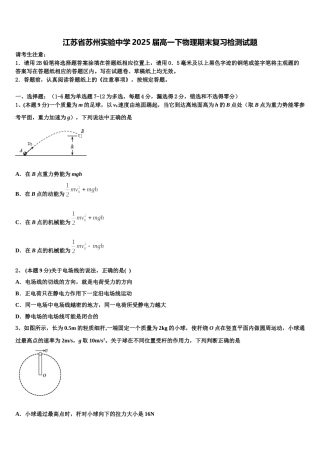 江苏省苏州实验中学2025届高一下物理期末复习检测试题含解析