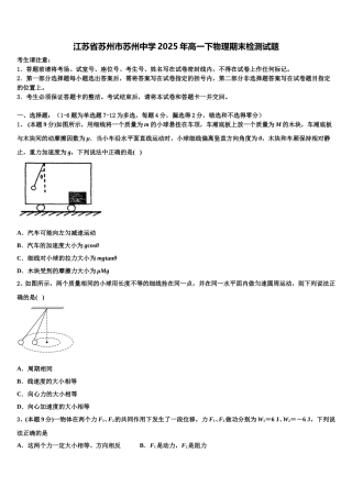 江苏省苏州市苏州中学2025年高一下物理期末检测试题含解析