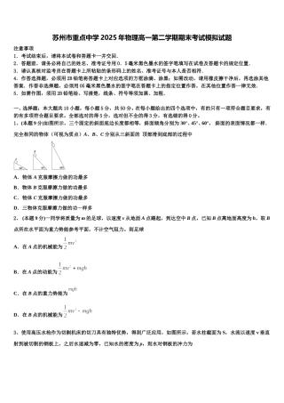 苏州市重点中学2025年物理高一第二学期期末考试模拟试题含解析