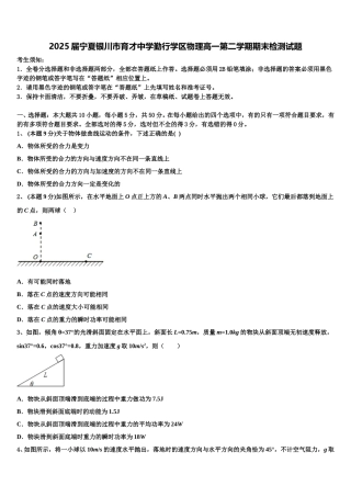 2025届宁夏银川市育才中学勤行学区物理高一第二学期期末检测试题含解析