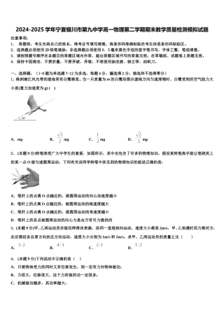 2024-2025学年宁夏银川市第九中学高一物理第二学期期末教学质量检测模拟试题含解析